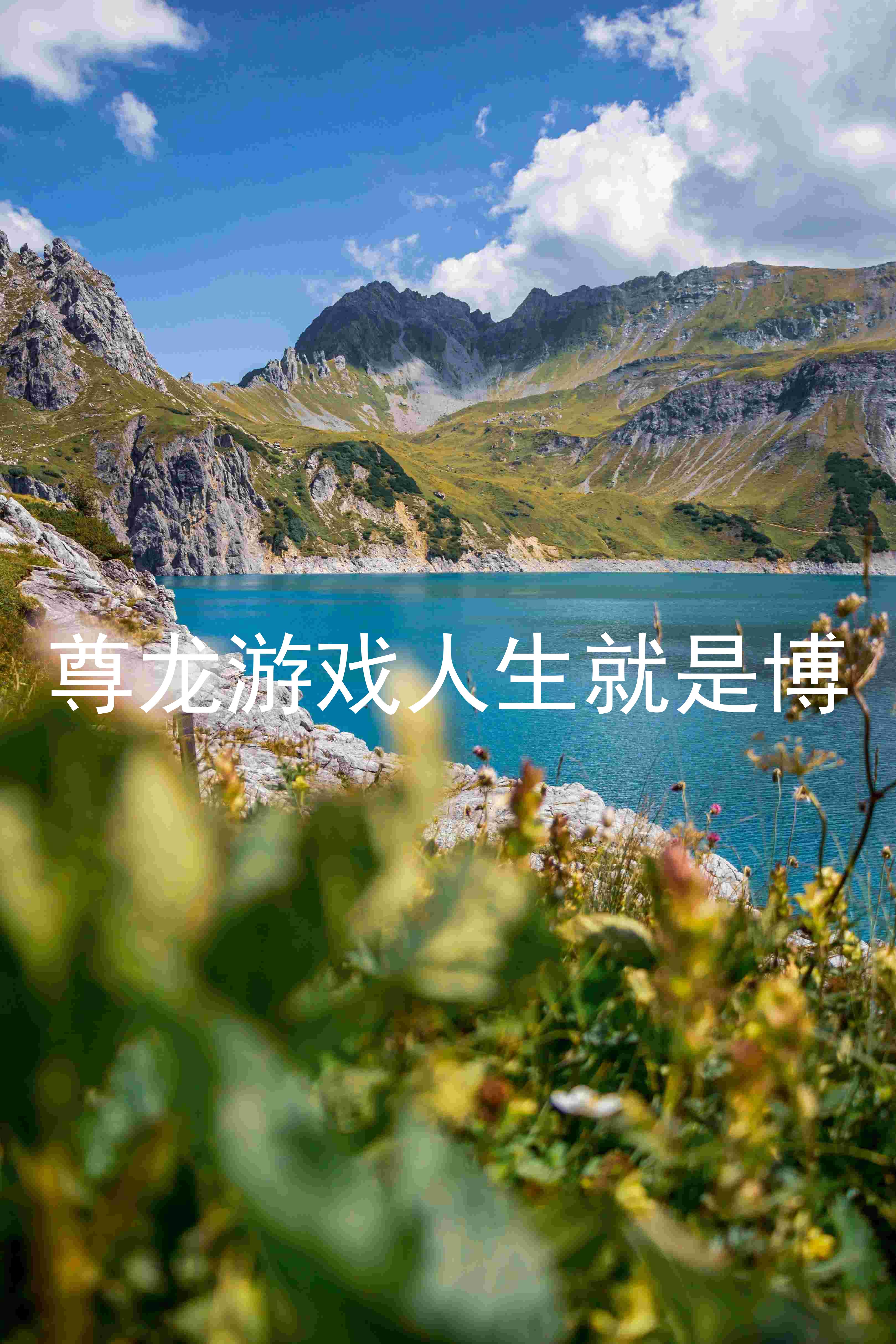尊龙游戏人生就是博