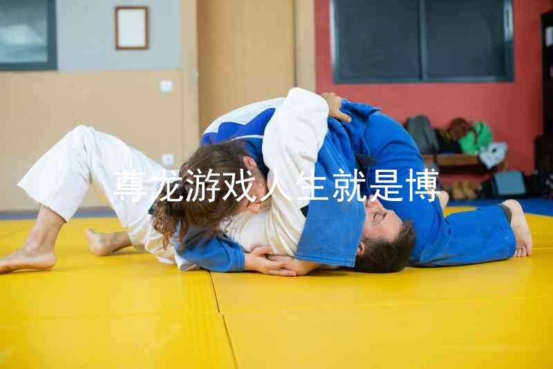 尊龙游戏人生就是博