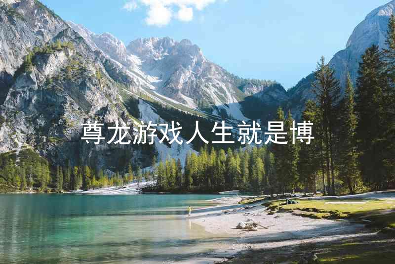 尊龙游戏人生就是博