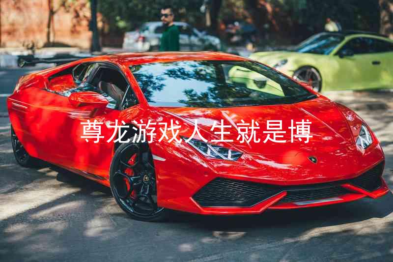 尊龙游戏人生就是博