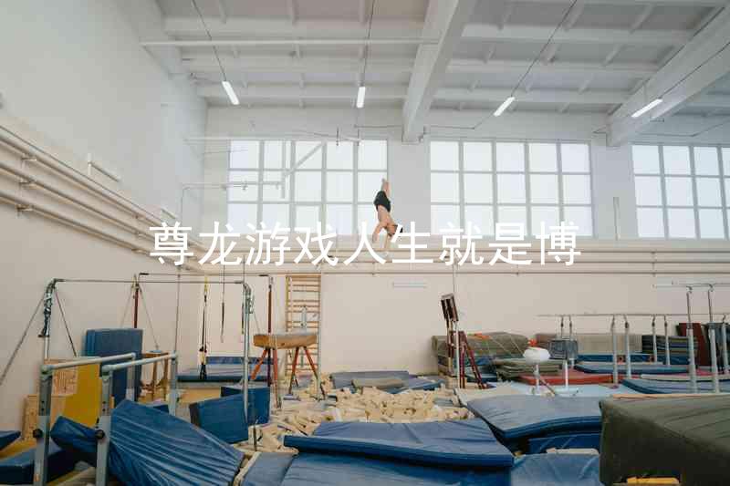 尊龙游戏人生就是博